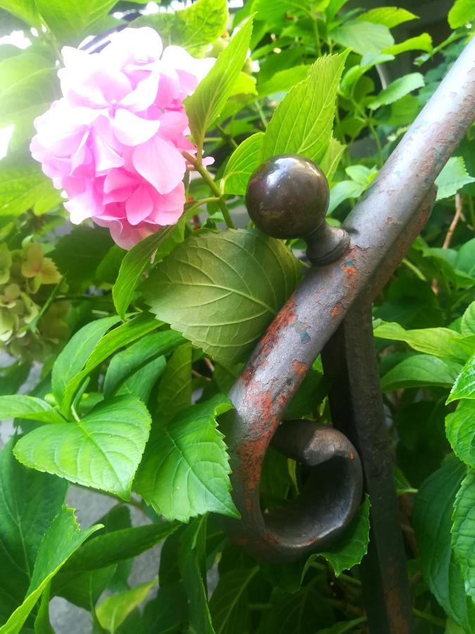 Dida Roko, Rustikalni Apartman S Terasom Kaštela エクステリア 写真